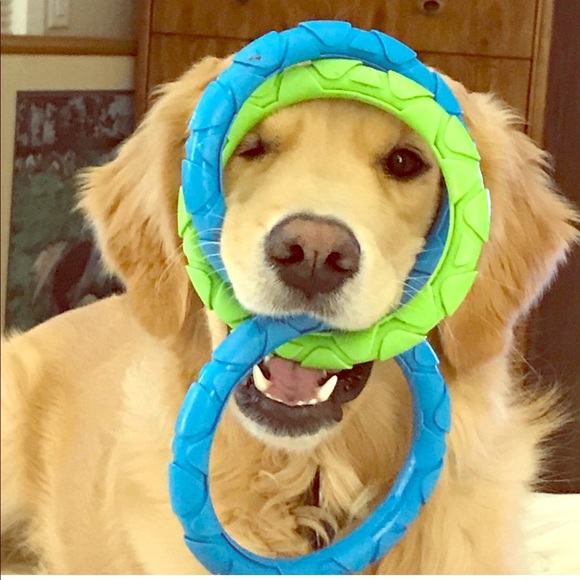 Allergies: Household has cat & dog❤️ - Picture 1 of 2